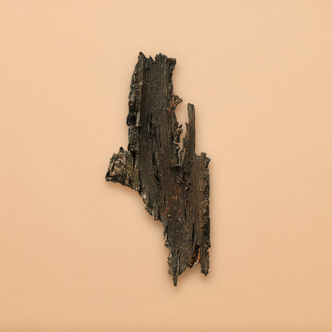 Red Mangrove Bark Pieces (Package of 4 Pieces)