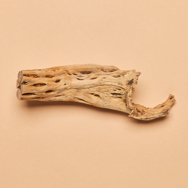 Cholla Chunks (Approx 6 oz./170 gram package)