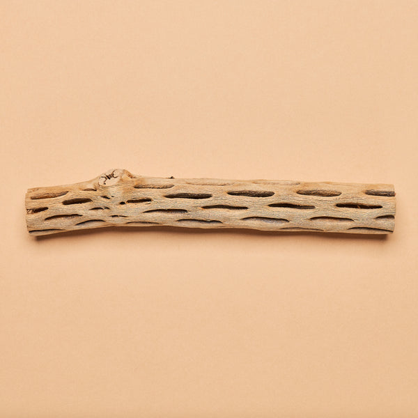 Cholla Wood "Logs"- Medium Size (Individual hand-selected pieces)