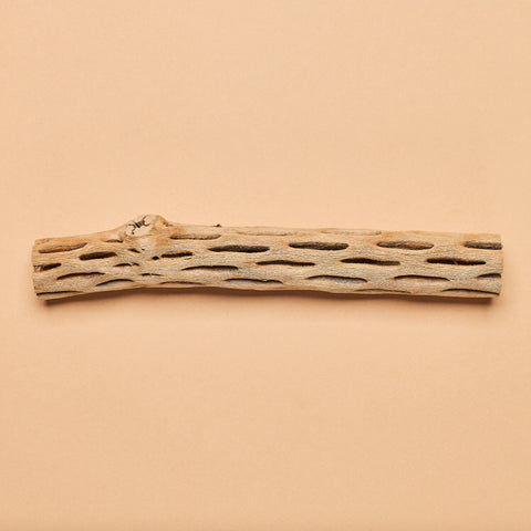 Cholla Wood "Logs"- Medium Size (Individual hand-selected pieces)