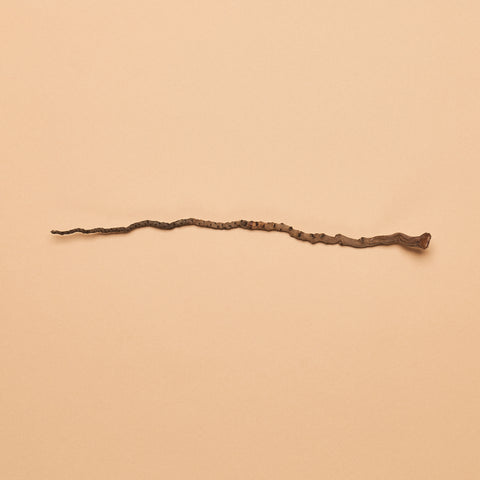 Coconut Palm Stem (Pack of 10)