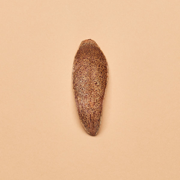Swietenia Pod