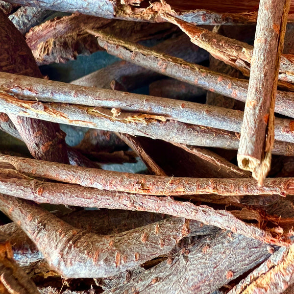 Ichnocarpus Bark (25 pcs)