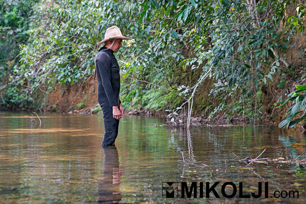 Tannin Special Release "Mikolji Bronze Corydoras Biotope 9669" (Ivan Mikolji-curated Botanical Sampler Pack, and Exclusive Signed Limited Edition Print)