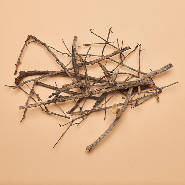 "Twenty Twigs"- Assorted Small Oak Twigs (20 pcs.)