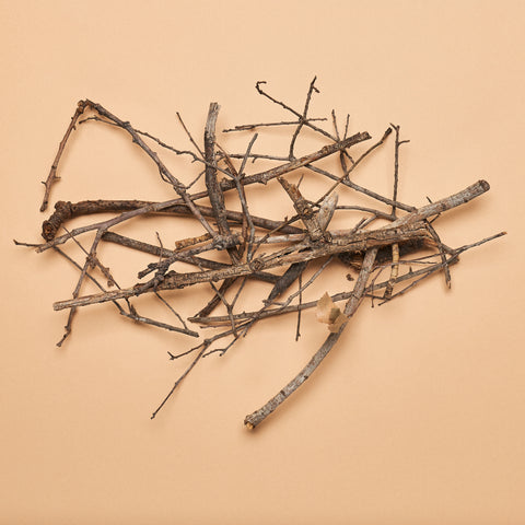 "Twenty Twigs"- Assorted Small Oak Twigs (20 pcs.)