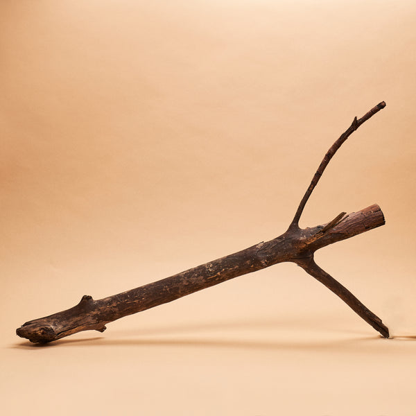 Red Mangrove Root Section (single piece)