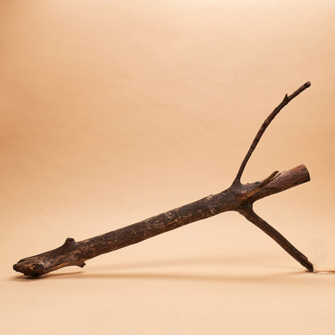 Red Mangrove Root Section (single piece)