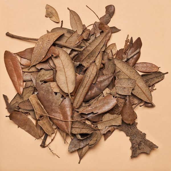 Live Oak Leaf Litter  (Approx 1.5oz/42.52g Package)