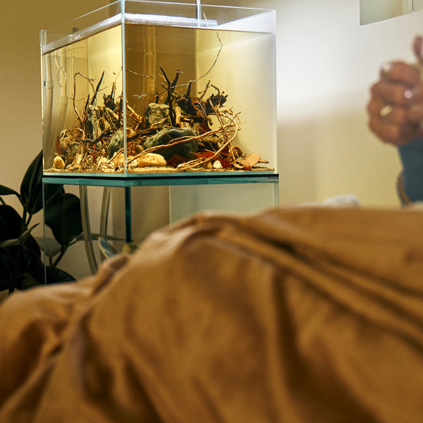 Tannin Sherpa Throw Blanket by  Land's End