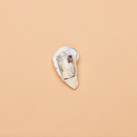 Oyster Shell Halves (Package of 30 pcs.)