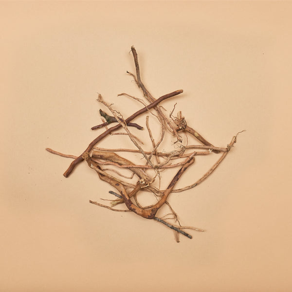 "Bits and Pieces"- Assorted Small Root and Twig Sections (20 pcs.)